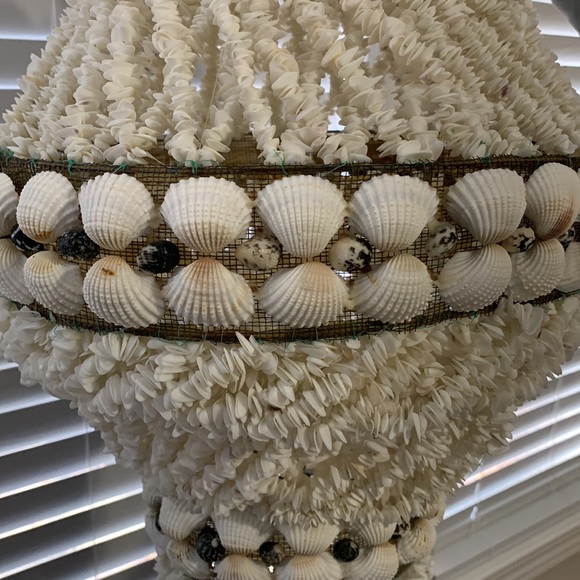 Custom Handmade SeaShell / Opal Chandelier - Picture 4 of 13